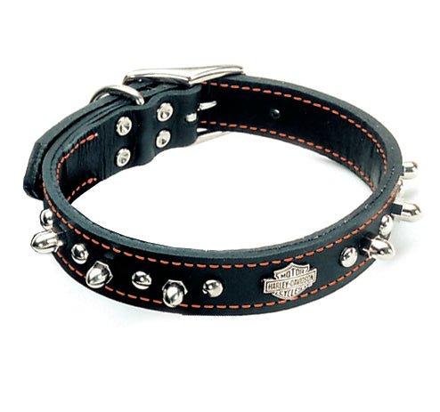 Harley Davidson - Spiked Leather with Orange Collar 18" - Natural Pet Foods