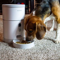 Instachew Purechew Smart Pet Feeder