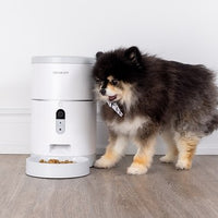 Instachew Purechew Smart Pet Feeder - Natural Pet Foods