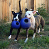 Jolly Pets - Teaser Ball With In A Ball Assorted Colors - Natural Pet Foods