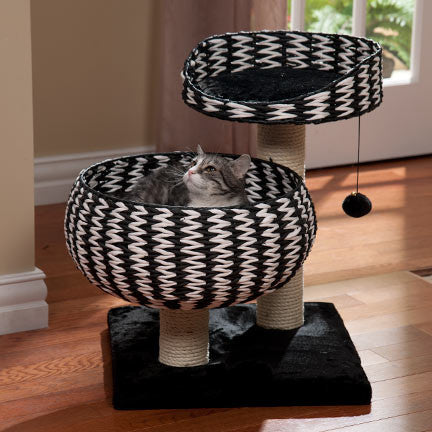 Jupiter Jack Cat Perch