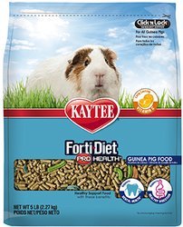 Kaytee Forti Diet Pro Health Guinea Pig 5lb - Natural Pet Foods