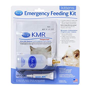 Kitten Milk Replacement - Emergency Feeding Kit - Natural Pet Foods