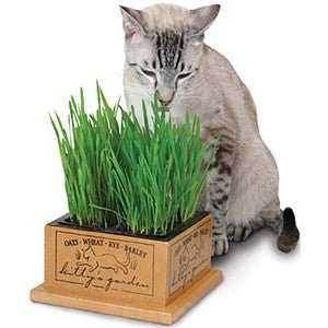 Kitty's Garden by Pioneer Pet - Natural Pet Foods