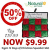 Kyjen Xmas 12 Days of Christmas Squeaker Mat Dog Toy SALE - Natural Pet Foods