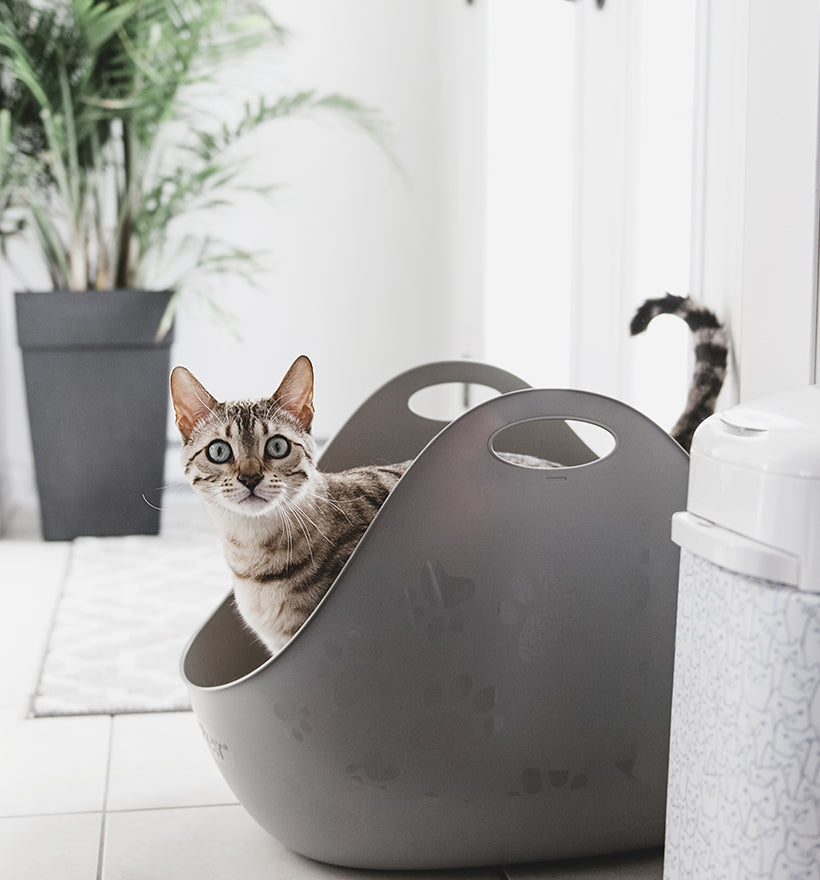 LitterLocker Litter Box with Scoop - Grey