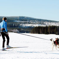 Loft's Skijorring Tug Line - Natural Pet Foods