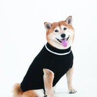 Lookin' Good Black Sweater (discontinued) SALE - Natural Pet Foods