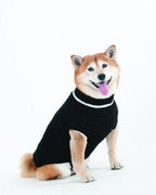 Lookin' Good Black Sweater (discontinued) SALE - Natural Pet Foods