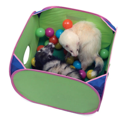Marshall Pop-N-Play Ball Pit for Ferrets SALE - Natural Pet Foods