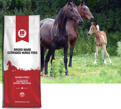 Martin Brood Mare Extruded Horse Feed - Natural Pet Foods