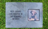 Memory Stone - Best Friends Live Forever - Natural Pet Foods