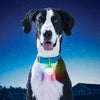 Nite Ize® SpotLit™ Rechargeable Collar Light Disco-O Select™ Extra Large