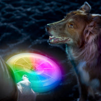 Nite Ize® Flashflight™ Dog Discuit™ LED Flying Disc