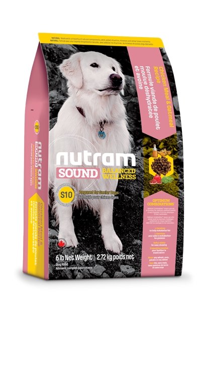 Nutram senior sale dog food