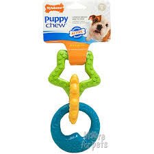 Nylabone Active Chewing Toy - Natural Pet Foods