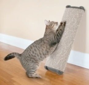 Omega Paw - Scratching Post - Lean-It Anywhere - Natural Pet Foods