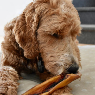 Open Range Cheek Stick Dog 8-10in - Natural Pet Foods