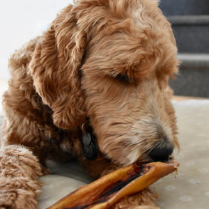 Open Range Cheek Stick Dog 8-10in - Natural Pet Foods