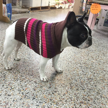 Outdoor Dog Sweater - Brown SALE