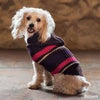 Outdoor Dog Sweater - Brown SALE - Natural Pet Foods