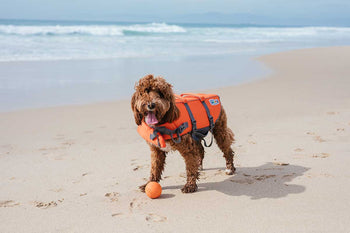 Outward Hound Granby Ripstop Life Jacket Orange SALE