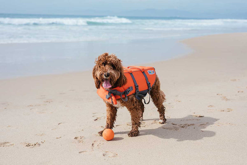 Fido float dog life on sale jacket