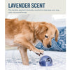 Outward Hound Petstages Orbee-Tuff Essentials Lavender Treat Dispensing Ball - Natural Pet Foods