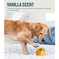 Outward Hound Petstages Orbee-Tuff Essentials Vanilla Treat Dispensing Ball - Natural Pet Foods
