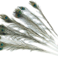 Peacock Feather for cats - Natural Pet Foods