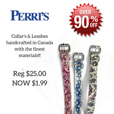 Perri's Leather Collars or Leashes All Patterns SALE - Natural Pet Foods