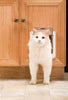 PetSafe - 2-Way Interior Cat Door - Natural Pet Foods
