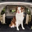 Petsafe Happy Ride Cargo Area Net Barrier Dog - Natural Pet Foods