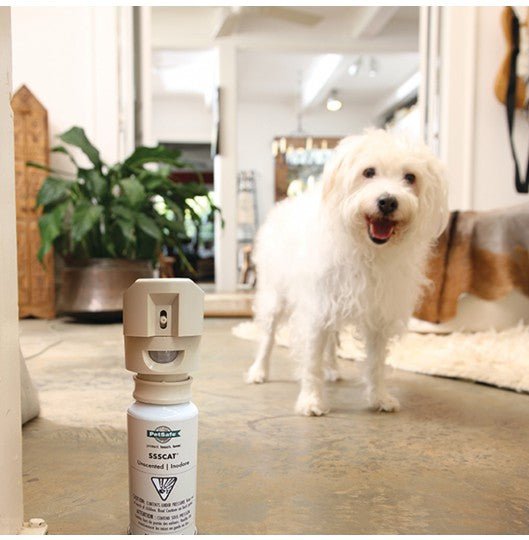 PetSafe SSSCAT Spray Deterrent System - Natural Pet Foods