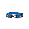 Petsafe Keep Safe Collar Xlarge Royal Blue Dog 1" SALE