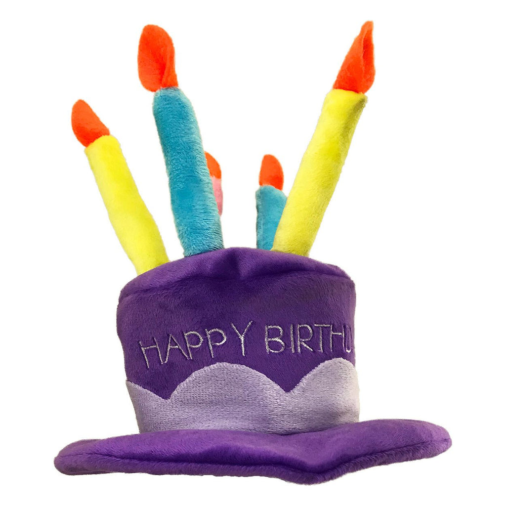 PetSport Happy Birthday Hat - Natural Pet Foods