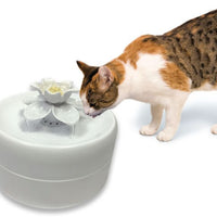 Pioneer Pet Smart Cat Magnolia Fountain - Natural Pet Foods