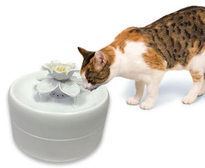 Pioneer Pet Smart Cat Magnolia Fountain - Natural Pet Foods