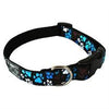 RC Pets - Clip Collar - Pitter Patter Chocolate