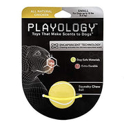 Playology Squeaky Chew Ball Chicken Flavor small SALE - Natural Pet Foods