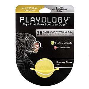 Playology Squeaky Chew Ball Chicken Flavor Small SALE $5 Natural
