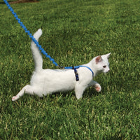 Premier Cat Harness with Leash SALE - Natural Pet Foods