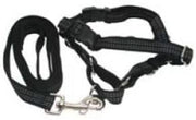 Premier Reflective Easy Walk Harness Black With Leash Small - Natural Pet Foods