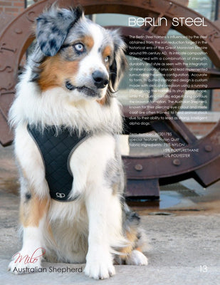Pretty Paw Dog Harness Berlin Steel (NEW) - Natural Pet Foods
