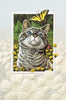 Pumpernickel Press Greeting Cards - Natural Pet Foods