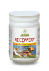 Purica Recovery Extra Strength Chewable Tablets for dogs and cats - Natural Pet Foods