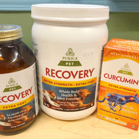 Purica Recovery SA Extra Strength Vegan Glucosomine Powder - Natural Pet Foods