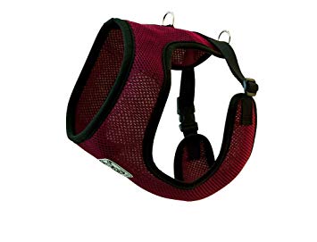 RC Cirque Harness - Burgundy - Natural Pet Foods