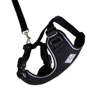 RC Pets Adventure Kitty Harness - Black - Natural Pet Foods