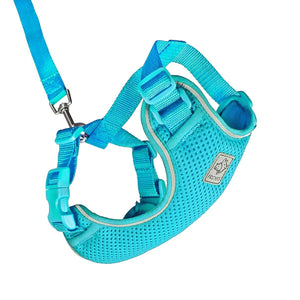 RC Pets Adventure Kitty Harness - Teal - Natural Pet Foods